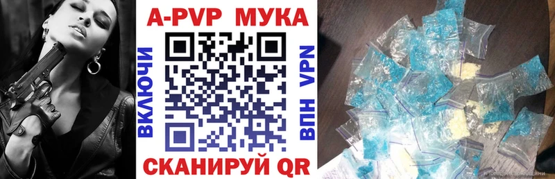 A PVP СК  Йошкар-Ола 
