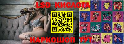 эйфоретик Гай