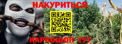 эйфоретик Гай