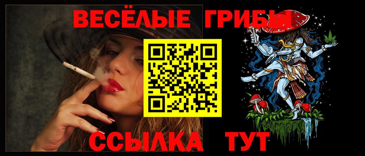 Йошкар-Ола  Псилоцибиновые грибы MAGIC MUSHROOMS  Псилоцибиновые грибы Magic Shrooms  купить наркотики цена  Вход с VPN 