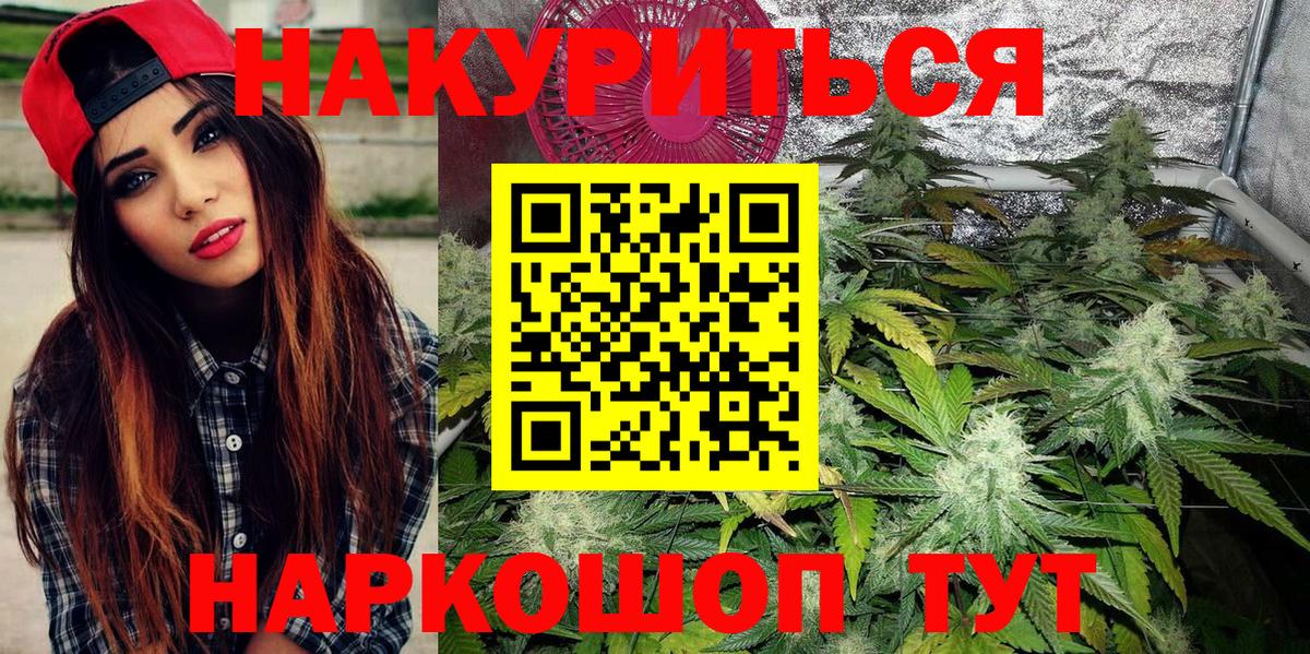Йошкар-Ола  Бошки Шишки планчик  Вход с VPN  МАРИХУАНА Amnesia 